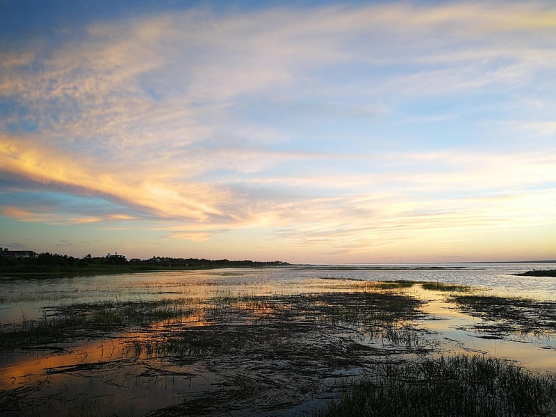 Hamptons Beach
